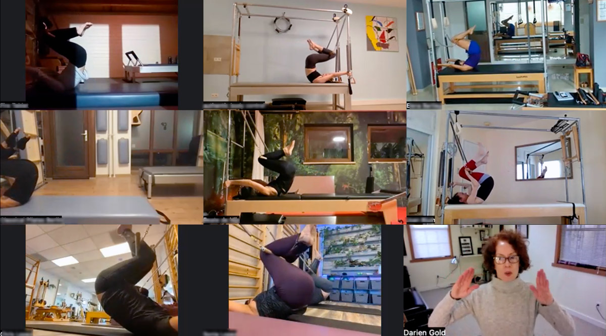 Pilates Apparatus Class Online – DARIEN GOLD – PILATES EXPERT