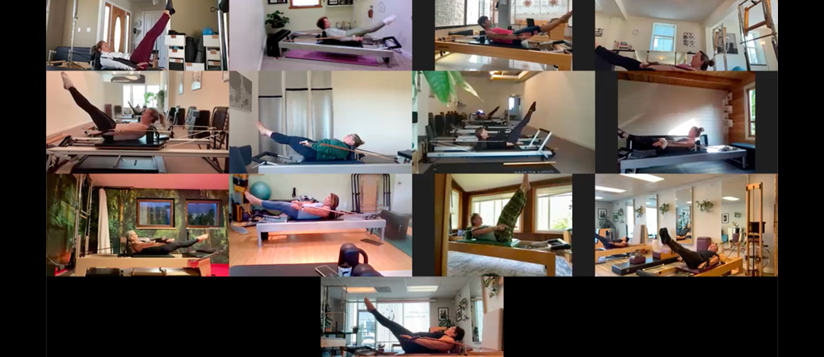 Pilates Apparatus Online Reformer – DARIEN GOLD – PILATES EXPERT