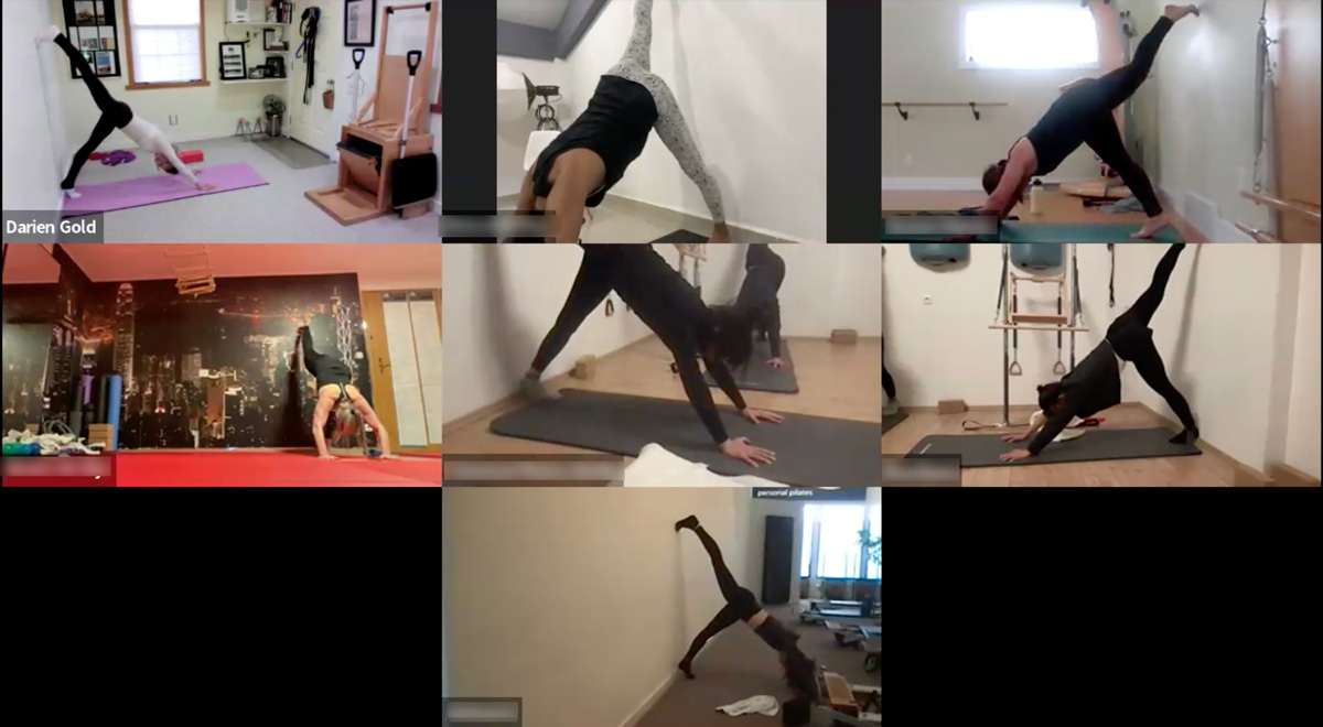 Darien Gold Pilates Workshops Mat Repertoire Leg Pull – DARIEN GOLD – PILATES EXPERT