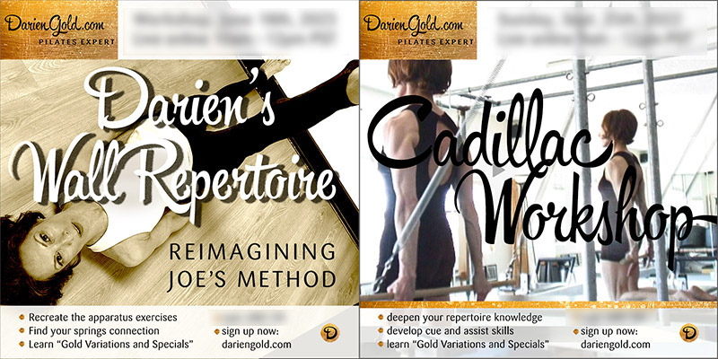 Darien Gold Pilates Workshops – DARIEN GOLD – PILATES EXPERT